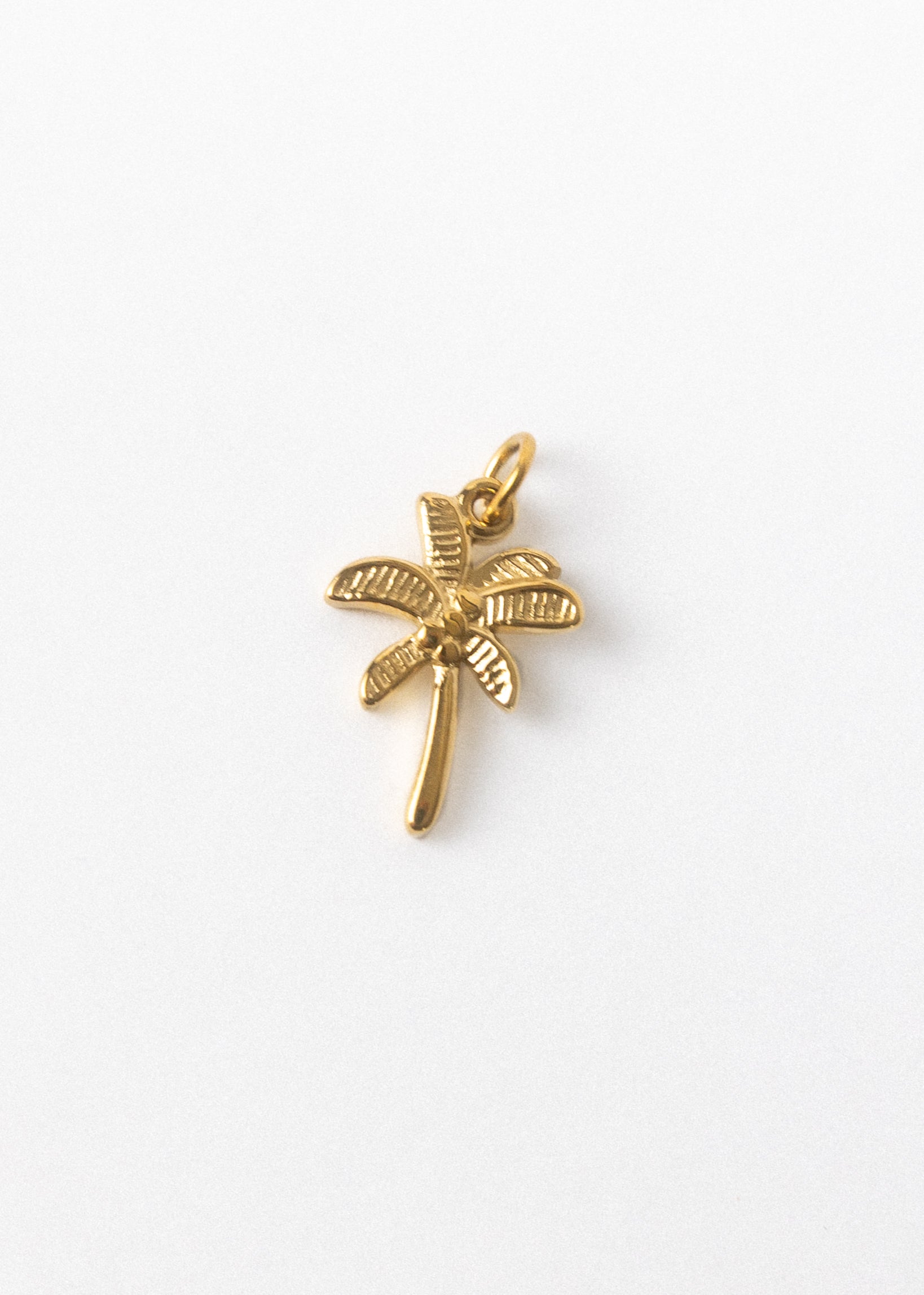 PALM CHARM